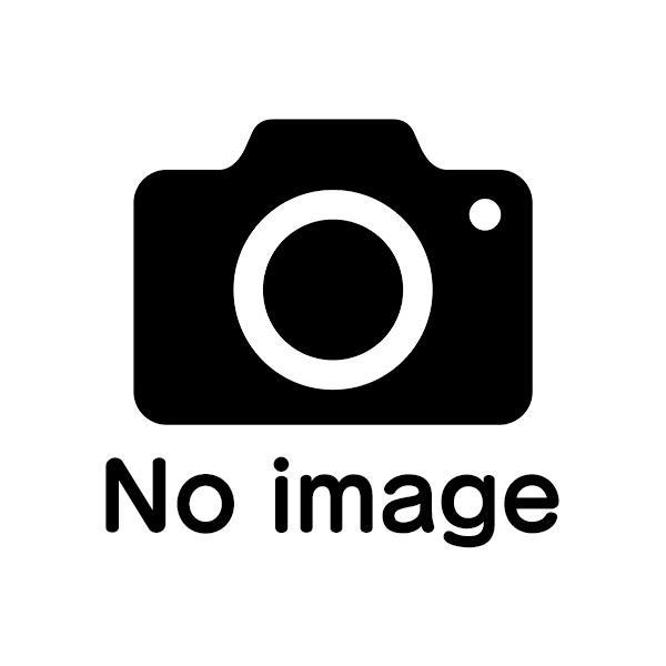 ダイソン Micro Plus SV33